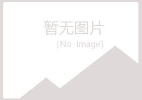 泽州县夜山木材有限公司